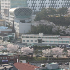 진주영락교회