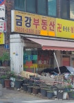 금강부동산