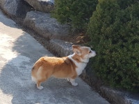 마리동물병원
