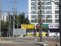 거성공인중개사사무소