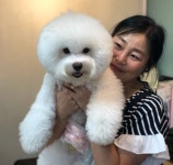 펫플러스라이프 애견미용호텔유치원 24시간돌봄센타