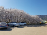 강서방 생선구이