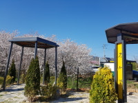 강서방 생선구이