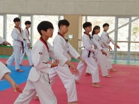 늘푸른태권도