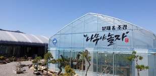 나무야놀자