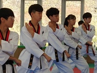 늘푸른태권도