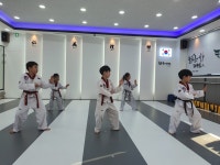 늘푸른태권도