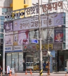 소유 애견미용 광주점