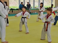 늘푸른태권도