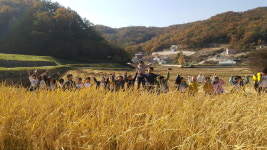 질울고래실마을