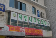 자연나무한의원