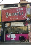 꽁지머리