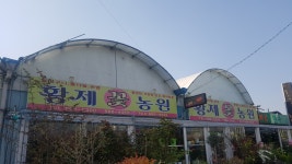 황제꽃농원