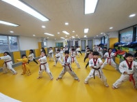 태권도에 반하다