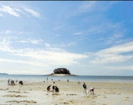 골든코스트펜션