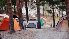 삼척엘림캠핑장