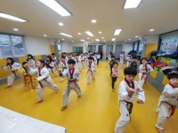 태권도에 반하다