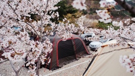 삼척엘림캠핑장