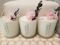 란쾌유테라피
