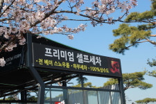 워시존 광산점