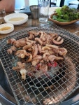 합천산곰장어 산아나고