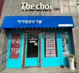 하이템증모가발