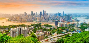 고흥탑공인중개사사무소