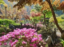 별이쏟아지는민박