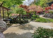 별이쏟아지는민박