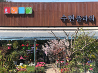 수현플라워