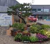 영희의들꽃정원