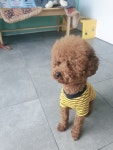 너와함께 3시간