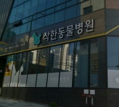 대구착한동물병원