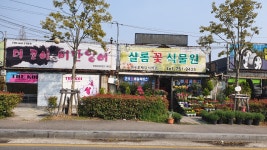 샬롬꽃식물원