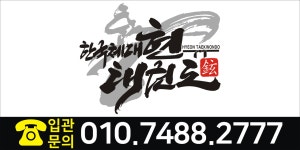 한국체대현태권도장