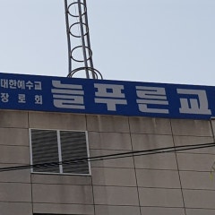 늘푸른교회