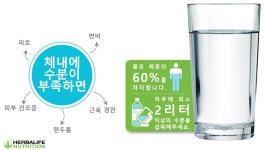 고고다이어트점핑