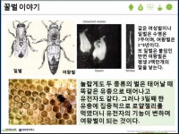 고고다이어트점핑