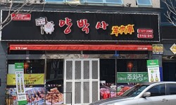 양박사