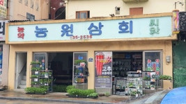 농원상회