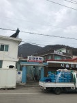 선진민박