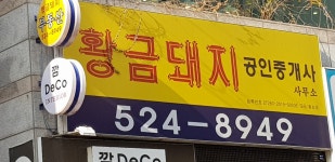 황금돼지공인중개사