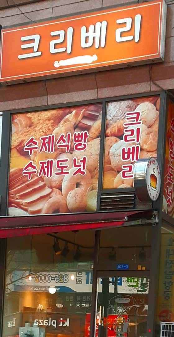 크리베리 사진
