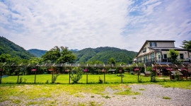 퍼피게스트하우스