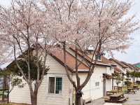 단양엘림펜션
