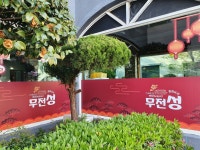무전성