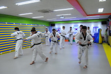 화봉태권도