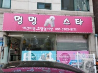 멍멍스타