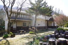 마로니에1970