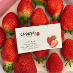 다혜농장
